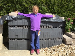 Our blue brick delivery